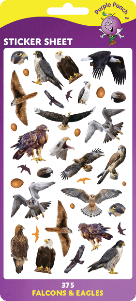 375 Falcons & Eagles